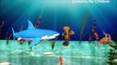 Sharks Twinkle Twinkle Little Star _ Flying Sharks Jump Animation Cartoons for Children Rhymes