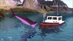 Tiger Sharks Finger Family Rhymes _ Shark Fish Attacks a Boat Animation Cartoon for Children