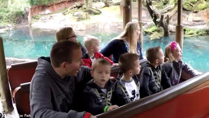Family Fun Pack Kilimanjaro Safaris Experience at Walt Disney World!-CHLz8MovlWA