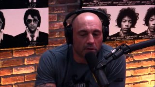 Joe Rogan- Holly Holm was Cheated at UFC 208 vs Germaine De Randamie - D