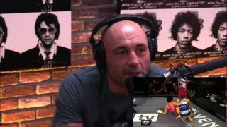 Joe Rogan- Holly Holm was Cheated at UFC 208 vs Germaine De Randamie - D