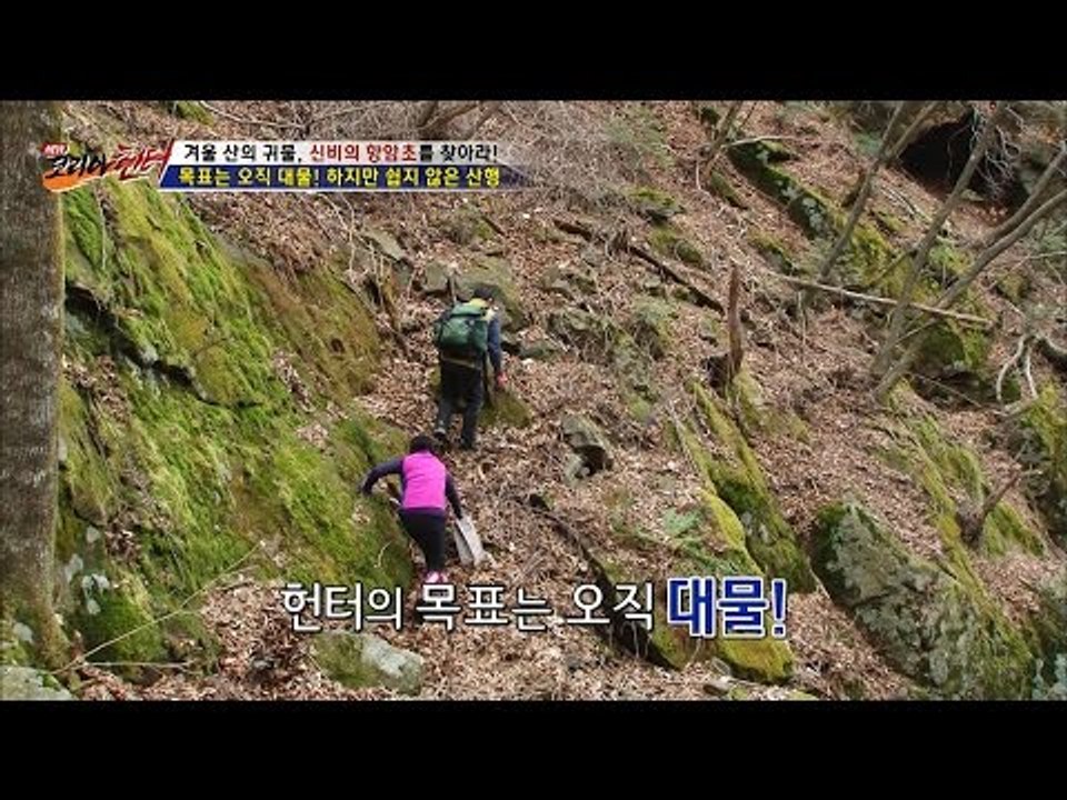 목표는 오직 대물! 힘들어도 계속되는 산행! [뉴 코리아 헌터] 30회 20161226