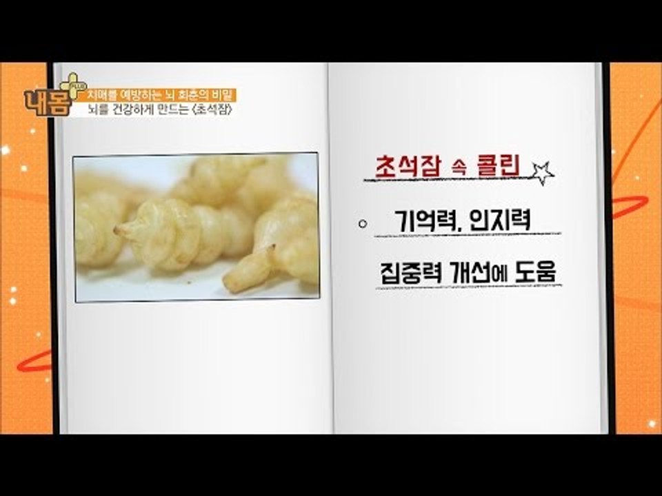 초석잠 속 ‘콜린’이 집중력에 도움을 준다! [내 몸 플러스] 38회 20161225