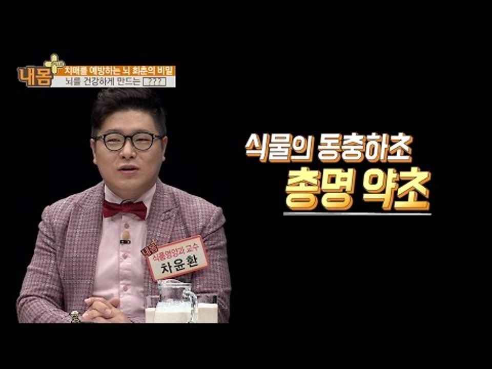 머리를 총명하게 만들어주는 ‘총명약초’는? [내 몸 플러스] 38회 20161225