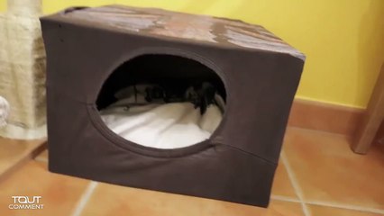 Fabriquer une maison pour chat en carton-SyRSqJZFuEg