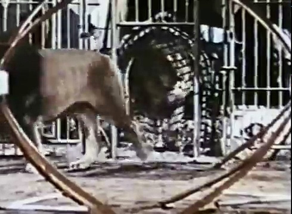 Circus of Fear (1966) part 1/2