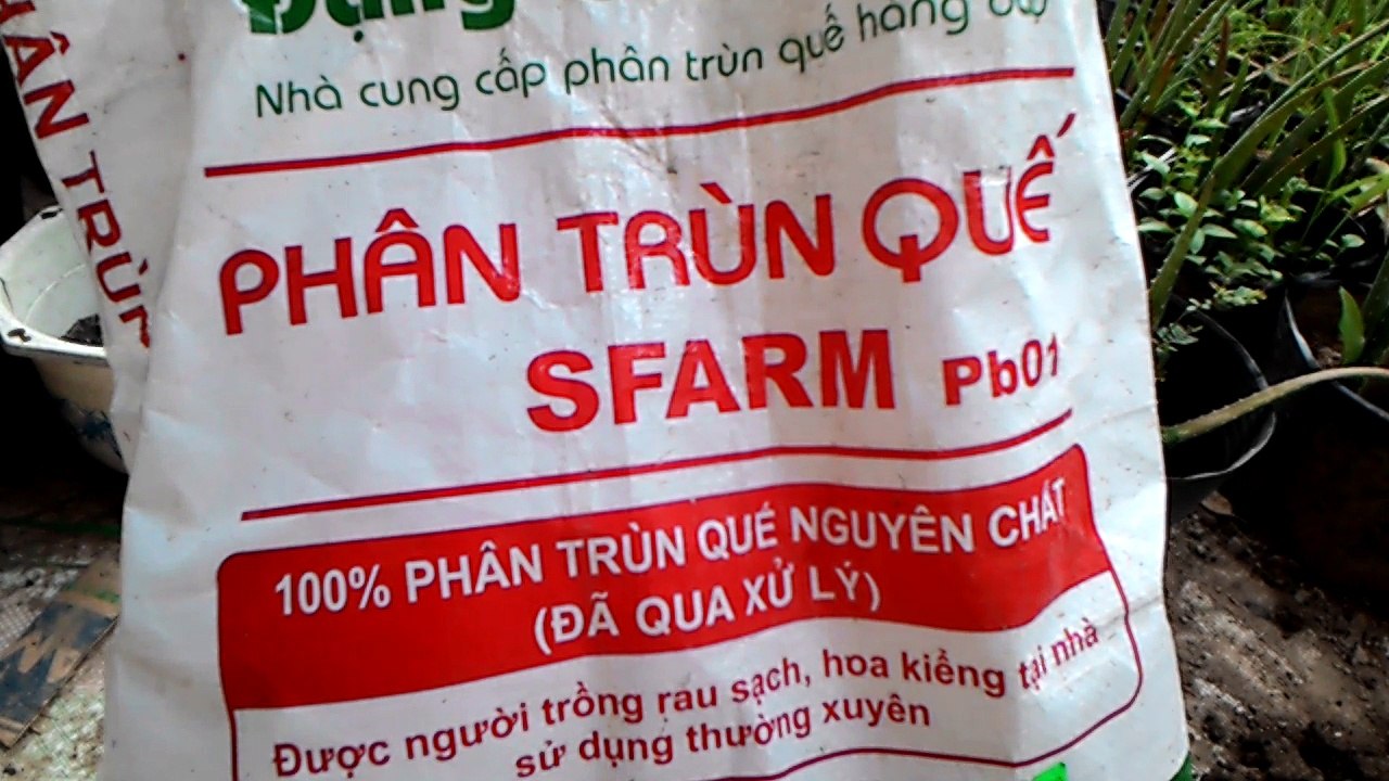 TRỒNG NHA ĐAM CON VỚI TRO TRẤU PHÂN TRÙNG QUẾ SFAM l NHADAMTV_20170423_160116