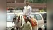 BJP MP rides on horse to parliament to protest against 'Odd-Even' scheme