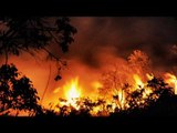 Uttarakhand forest fire rages on, 3 NDRF teams deployed