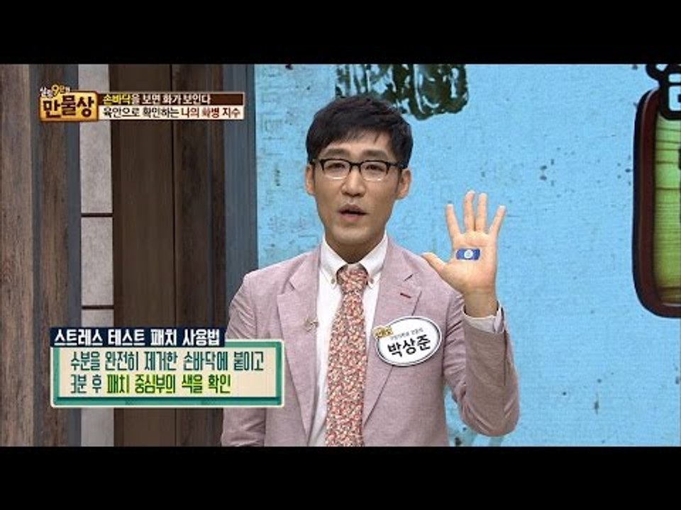 눈으로 확인하는 스트레스! 스트레스 테스트 패치! [만물상 172회] 20161225