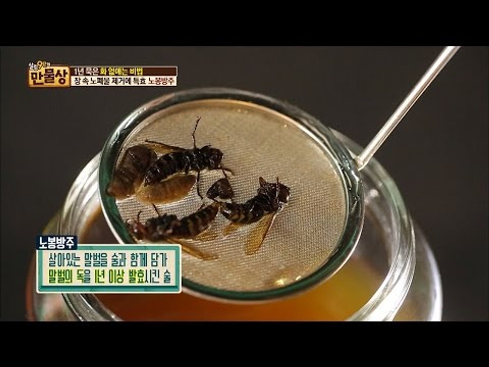 장 건강에 특효! 말벌을 직접 넣어 만든 노봉방주! [만물상 172회] 20161225