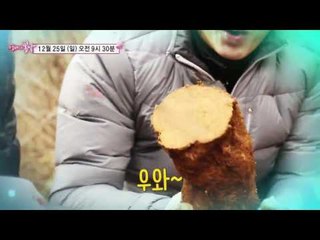 정선 엄마의 산골 로맨스_엄마의 봄날 69회 예고