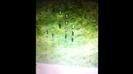 Age Of Empires 2: Penguins vs samurai