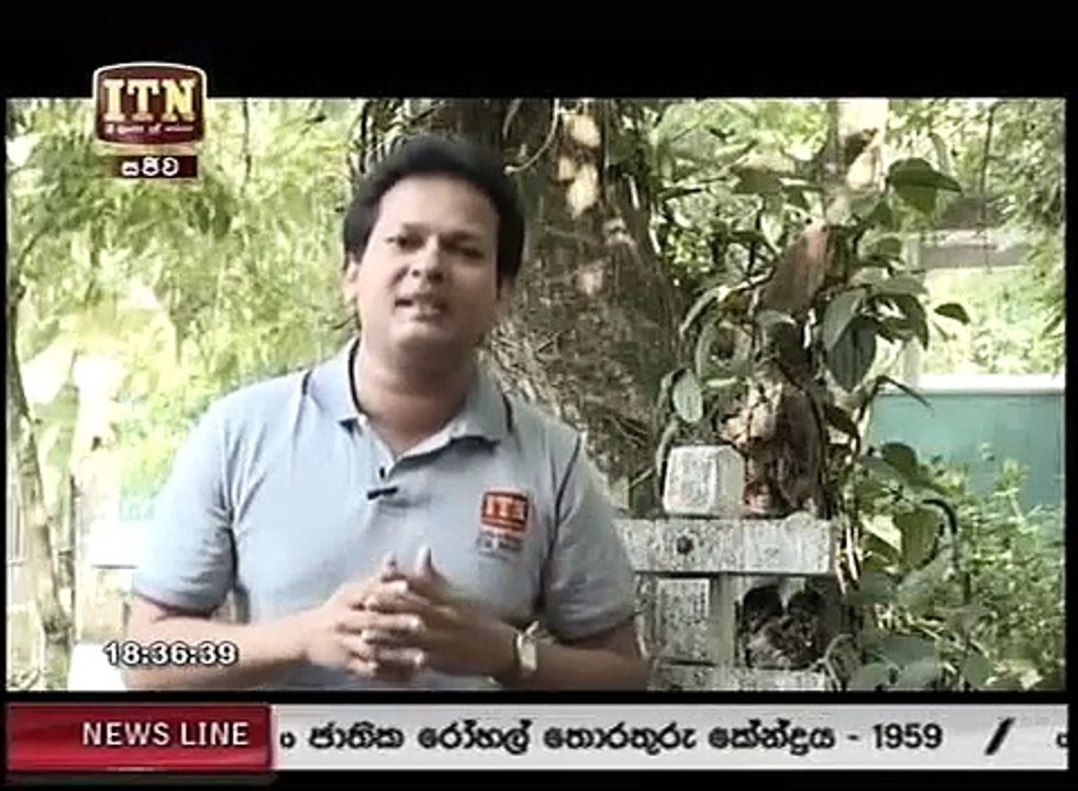 ITN news 234