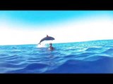 False Killer Whale Puts on a Show for Divers