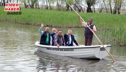 (23 NİSAN 2017) BAŞKAN ÇELİK, SULTAN SAZLIĞI’NDA YAPILAN FOTO SAFARİ’YE KATILDI