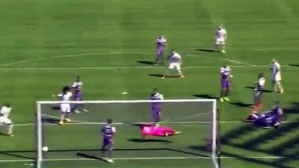 Valentin Eysseric Goal HD - Toulouse 1 - 1 Nice 23.04.2017 HD