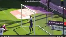 Jean  Goal  HD  1-1  Toulouse   VS  Nice   23-04-2017