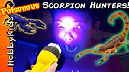 Biggest SCORPION HUNT Adventure! Surprise Toys + Hunting Real POISONOUS BUGS HobbyKidsTV