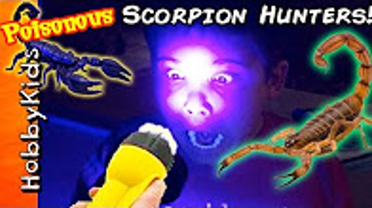 Biggest SCORPION HUNT Adventure! Surprise Toys + Hunting Real POISONOUS BUGS HobbyKidsTV