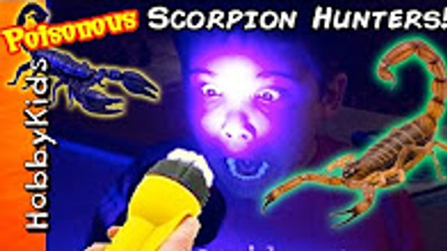 Biggest SCORPION HUNT Adventure! Surprise Toys + Hunting Real POISONOUS BUGS HobbyKidsTV