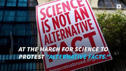 Thousands protest 'alternative facts' at March for Science