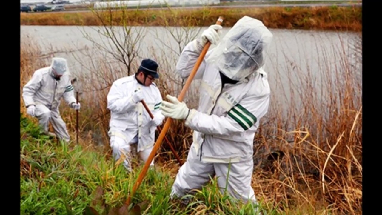 Rùng mình với giấc mơ lạ của người thân bé Nhật Linh trước ngày nghi phạm bị bắt