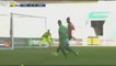 Robert Beric Goal -  Saint-Etienne vs Stade Rennes 1-0  23.04.2017 (HD)