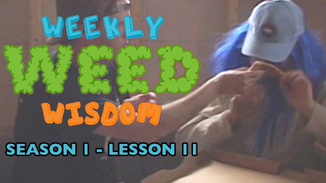 WEEKLY WEED WISDOM LESSON #11: The Munchies