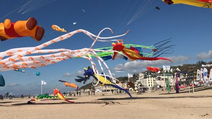 Festival de cerfs-volants