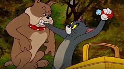Tom and Jerry -  Pup on a Picnic