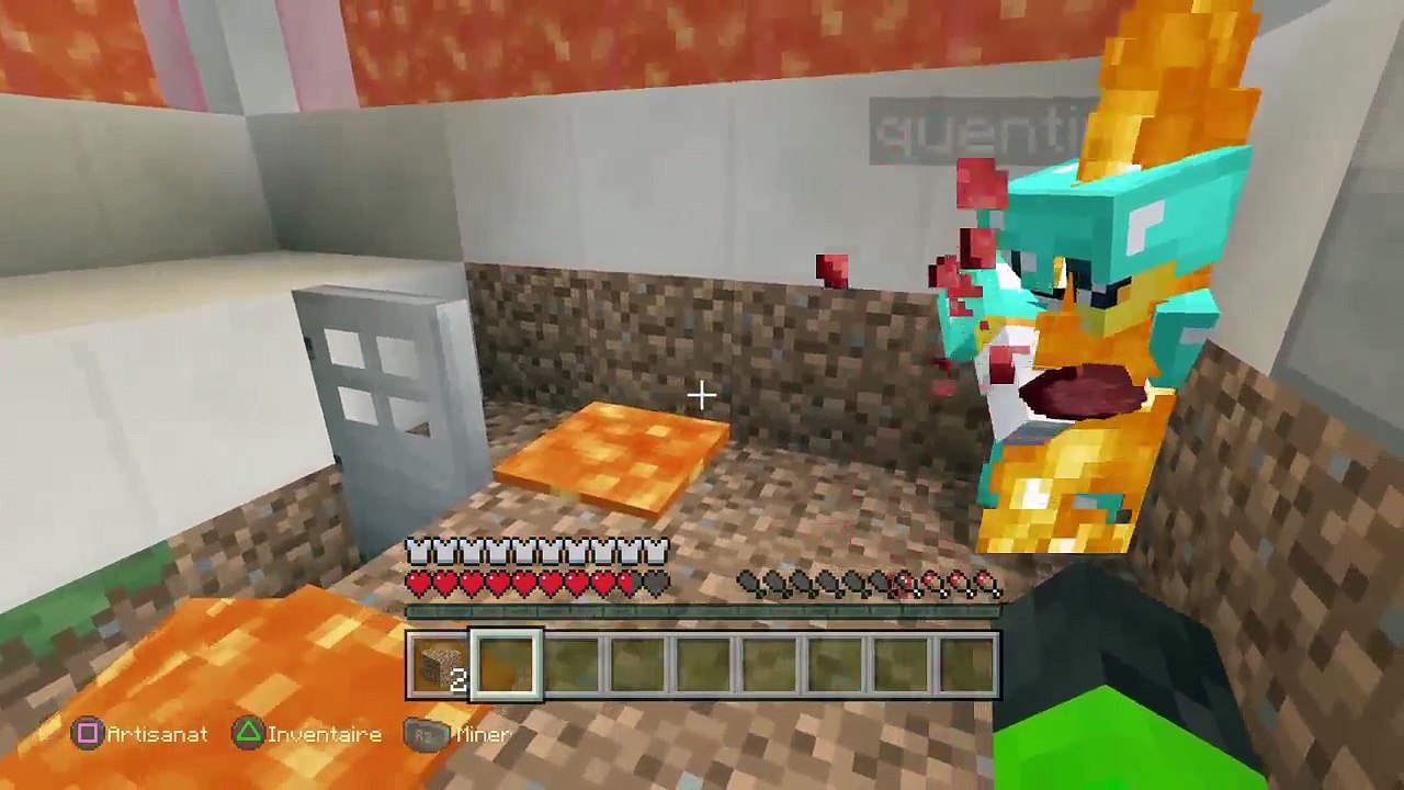 Minecraft (48)
