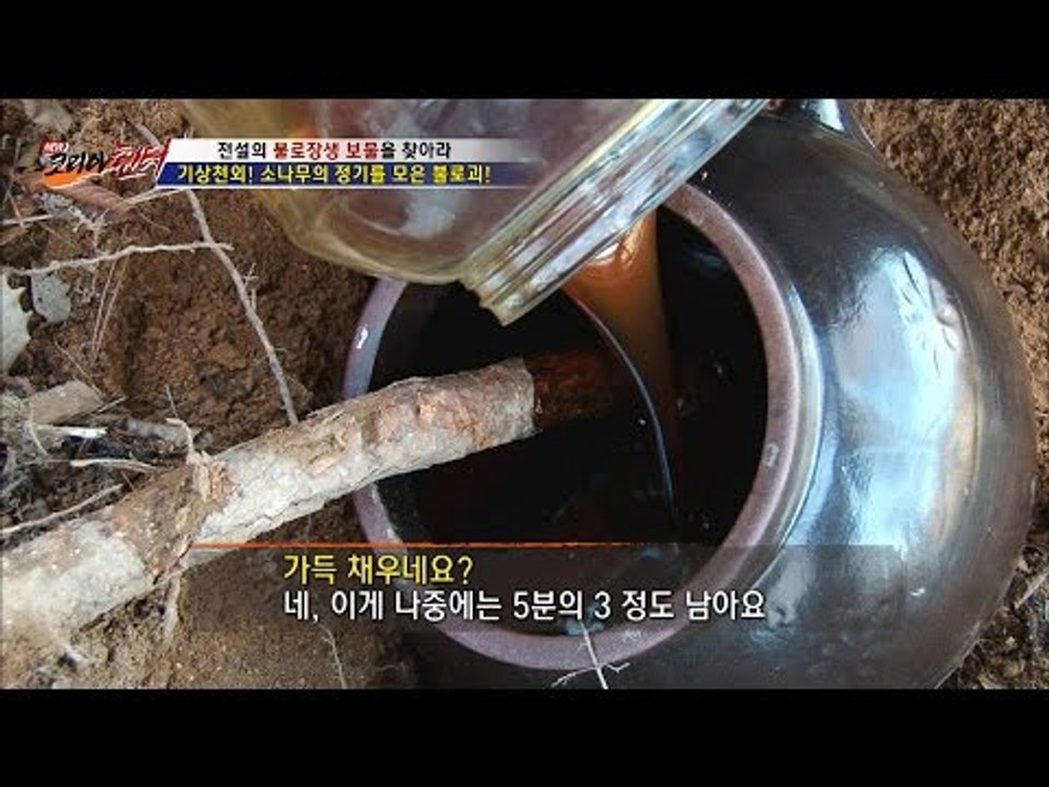젊어지는 명약! 불로괴를 만드는 과정! [뉴 코리아 헌터] 29회 20161219
