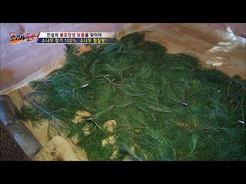 소나무 정기 받는 소나무 찜질방! [뉴 코리아 헌터] 29회 20161219