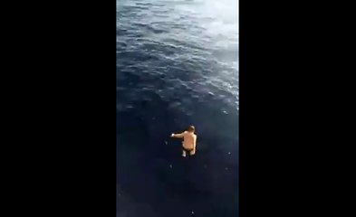 Un marin algérien saute d'un bateau pour sauver un baleineau