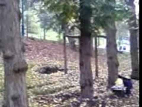 swiss lama twister hawk re-oups