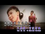 曾琳Zeng Lin-风华金嗓名典IV【红泪】