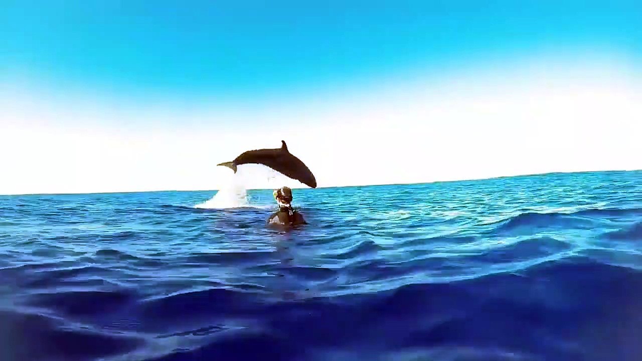 Killer Whale Puts on a Show for Divers