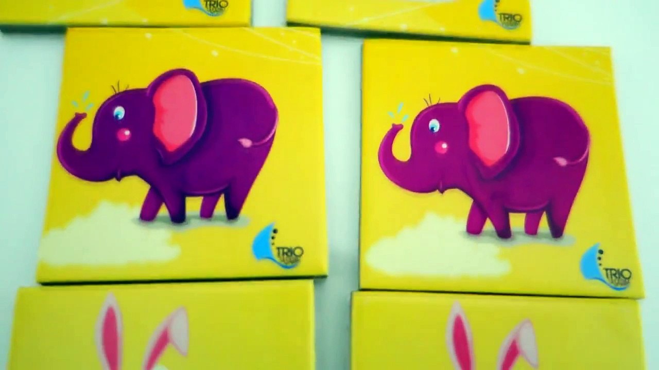 Hayvanları Tanıyalım Ve Eşleştirelim-Çocuklar İçin Eğitici Videolar,Çizgi film izle 2017