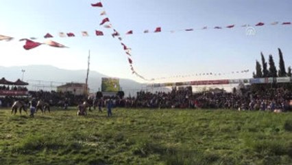 12. Döşemealtı Yağlı Güreşleri