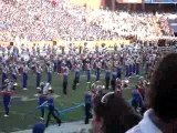 The Pride of the Sunshine UF Marching Band