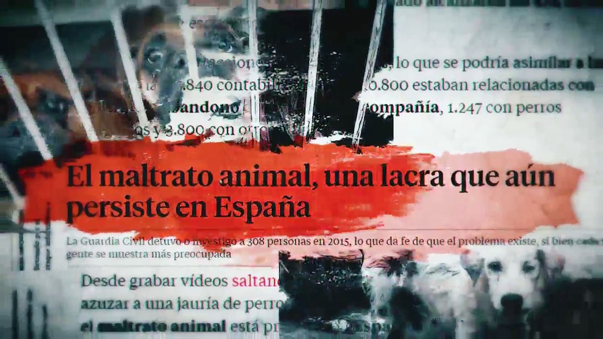 A Cara de Perro, con El Chatarrero Ep 4 Caballos en un basurero y guerra a  los delfinarios - Vídeo Dailymotion