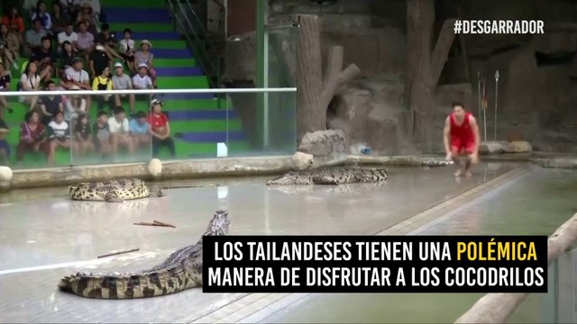 ¿Tienes dudas de la vanidad humana? Este video te hará reafirmar tu teoría