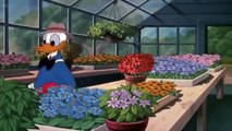 ᴴᴰ1080 Donald Duck - Chip and dale - Pluto / Donald Duck Cartoons Full Ep.s New HD PART 1