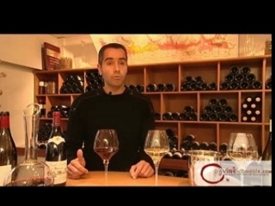 les premiers et grands crus de Bourgogne