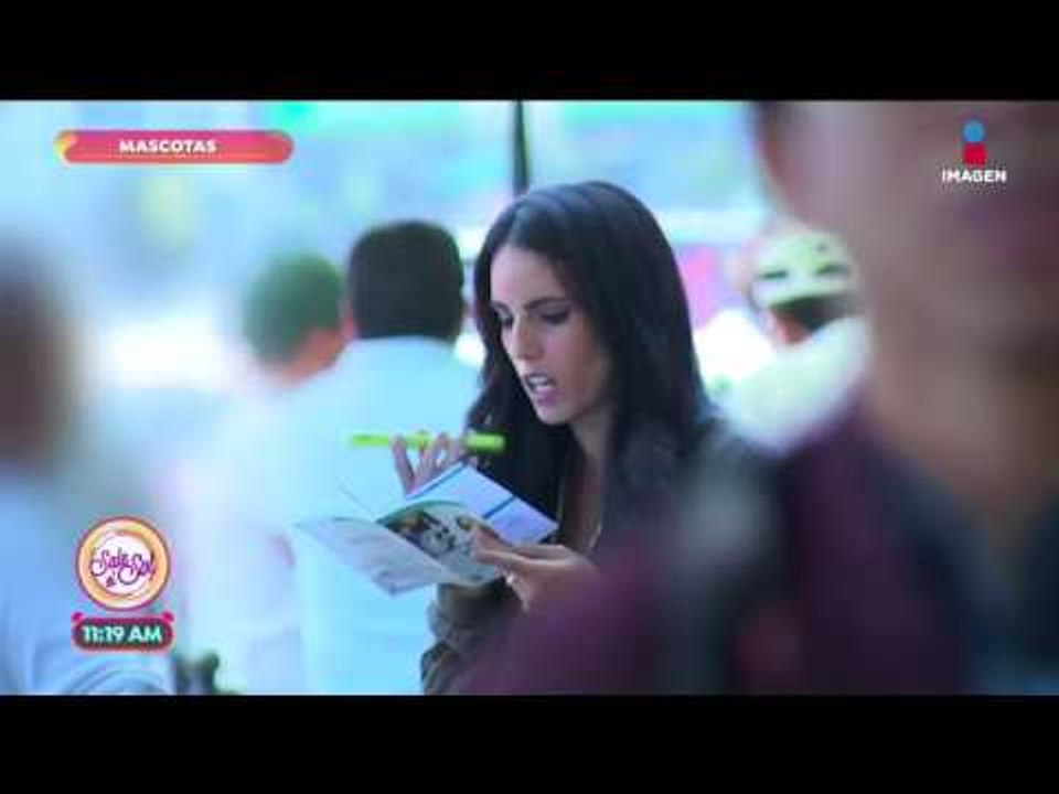 ¡Fraudes en la venta de cachorros por internet! | Sale el Sol