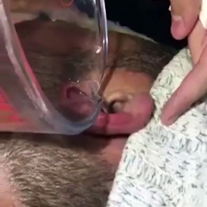 Il a une araignée coincée dans l'oreille ses amis l'aident à la faire sortir !