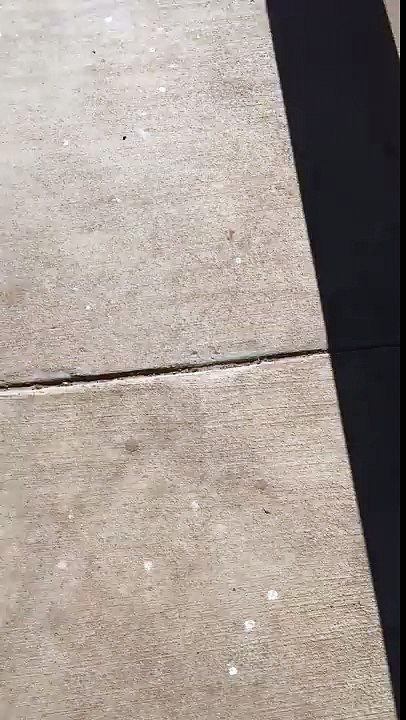 Can't escape the gangsters