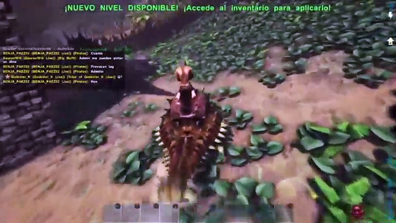 Ark español (43)