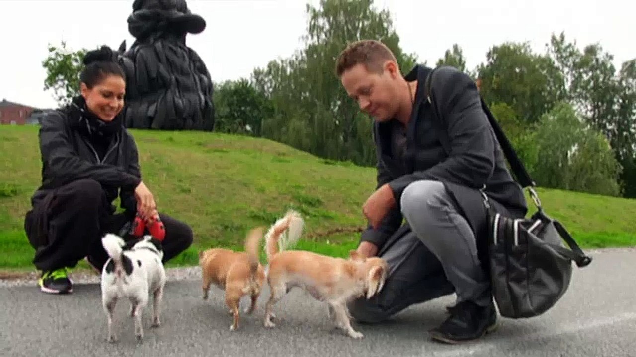 Momentos mágicos con un perro | Euromaxx